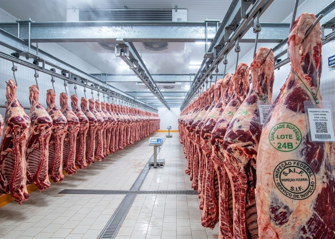 Cortes bovinos padrão para varejo